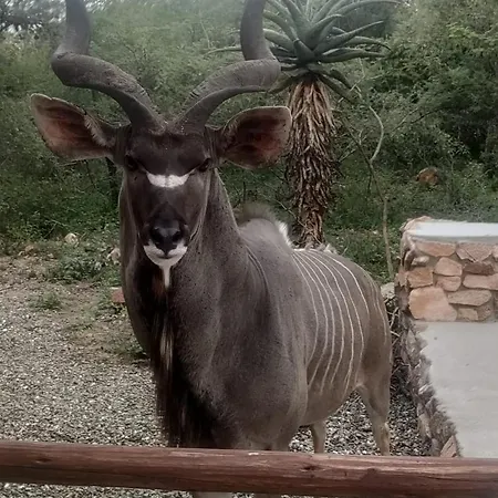 Sonador Bush House Villa Marloth Park Exterior photo